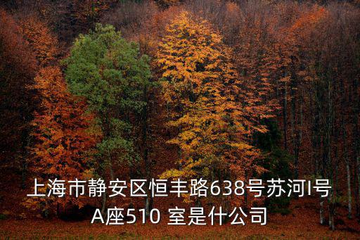 上海市靜安區恒豐路638號蘇河I號A座510 室是什公司