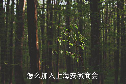 上海市工商聯(lián)虞蕾，三榮電梯董事長(zhǎng)是誰(shuí)