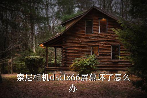 索尼t(yī)x66,索尼手機(jī)tx66和尼康770300哪款好?