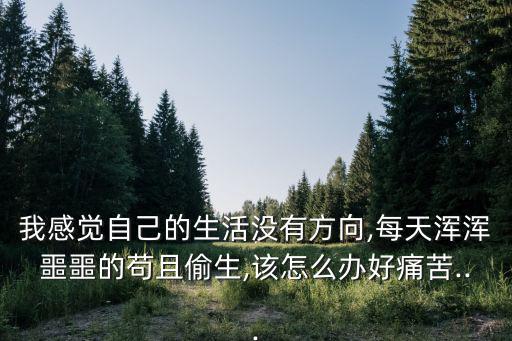 我感覺自己的生活沒有方向,每天渾渾噩噩的茍且偷生,該怎么辦好痛苦...