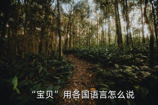 寶貝英語怎么讀,寶貝用各國語言怎么寫?