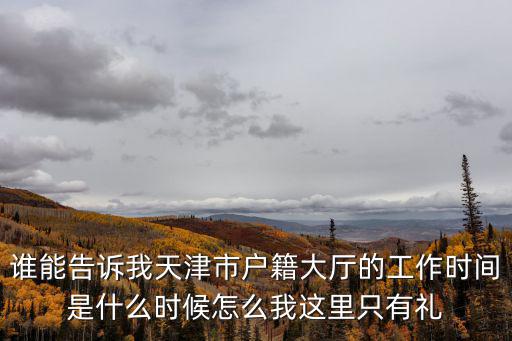 誰能告訴我天津市戶籍大廳的工作時間是什么時候怎么我這里只有禮