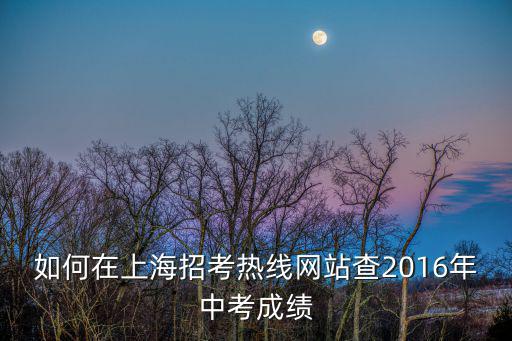 上海招考熱線，上海招考熱線網(wǎng)址