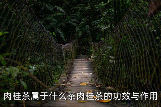 肉桂茶屬于什么茶肉桂茶的功效與作用