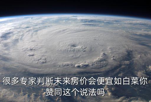 很多專家判斷未來房價會便宜如白菜你贊同這個說法嗎