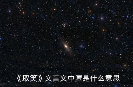 《取笑》文言文中匿是什么意思