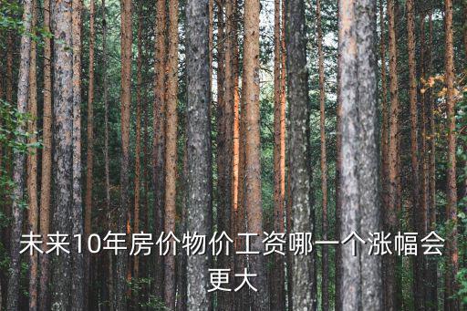 物價(jià)和房價(jià)哪個(gè)好，未來10年房價(jià)物價(jià)工資哪一個(gè)漲幅會(huì)更大