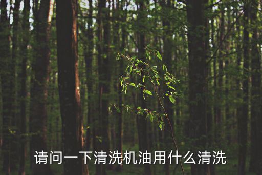 請問一下清洗機油用什么清洗