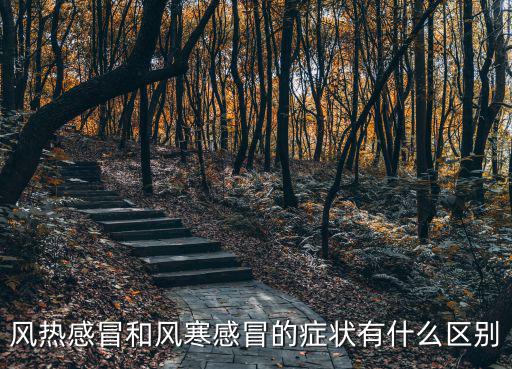風熱感冒和風寒感冒的癥狀有什么區別
