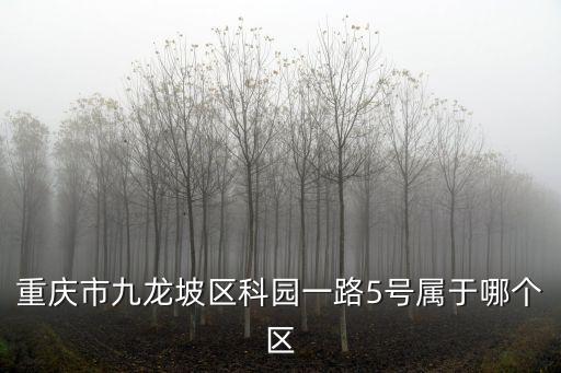 重慶市九龍坡區科園一路5號屬于哪個區