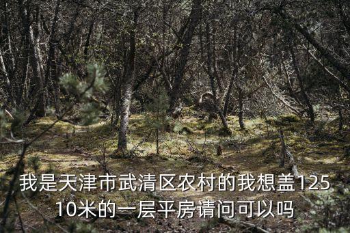 天津市武清區周家務村村史，天津市武清區崔黃口鎮規劃項目又哪個村