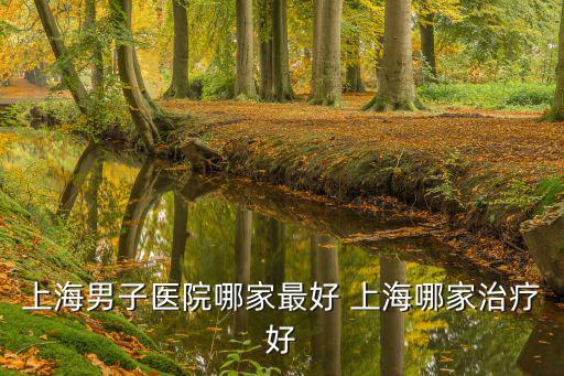上海男子醫院哪家最好 上海哪家治療好