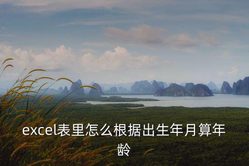 excel表里怎么根據(jù)出生年月算年齡