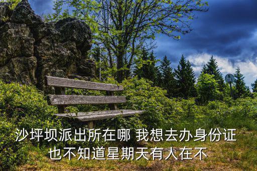 重慶市沙坪壩區回龍壩派出所，沙坪壩區什么bai huo lin 還是bai huo ling 派出所在哪里喲