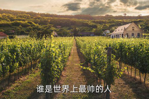 全球最帥,2020全球最帥男星評選:肖戰第一