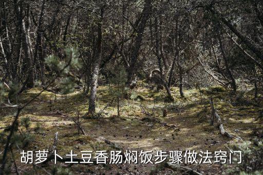 胡蘿卜土豆香腸燜飯步驟做法竅門