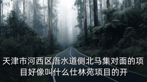 天津市河西區浯水道側北馬集對面的項目好像叫什么仕林苑項目的開