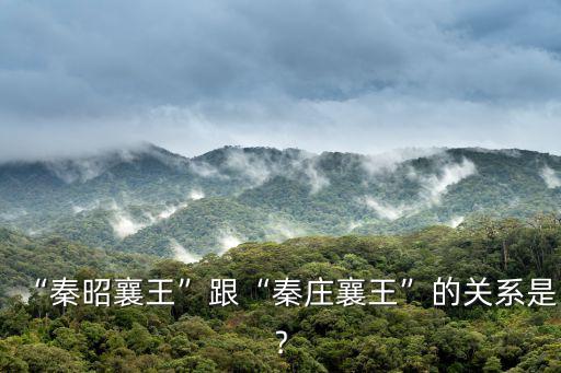秦莊襄王,趙莊襄王之子成嶠成嶠簡介趙國貴族