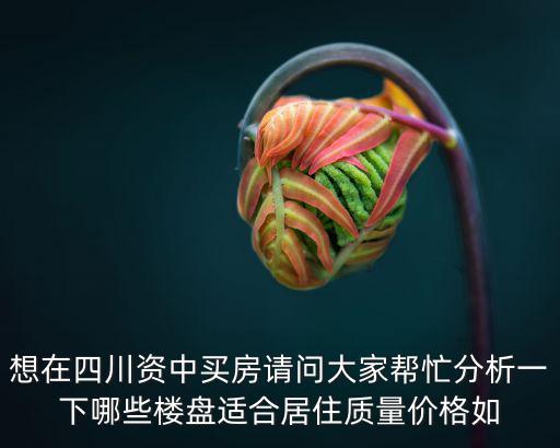 資中哪個小區(qū)房價最高，想在四川資中買房請問大家?guī)兔Ψ治鲆幌履男潜P適合居住質(zhì)量價格如