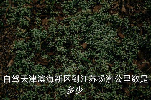 自駕天津濱海新區到江蘇揚洲公里數是多少