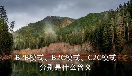 b2c模式,電子商務模式b2c是什么?