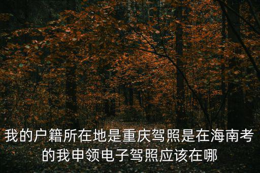 我的戶籍所在地是重慶駕照是在海南考的我申領電子駕照應該在哪