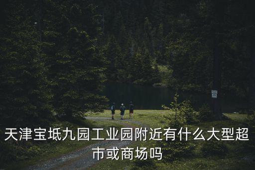 天津寶坻九園工業園附近有什么大型超市或商場嗎