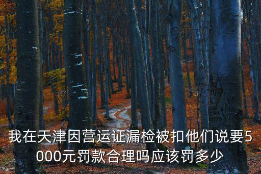 我在天津因營運證漏檢被扣他們說要5000元罰款合理嗎應該罰多少