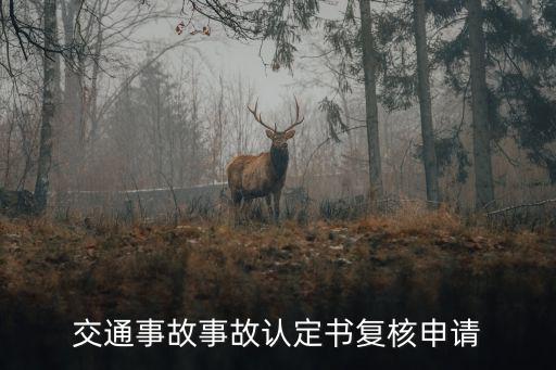 上海市專精特新復(fù)核，交通事故事故認定書復(fù)核申請