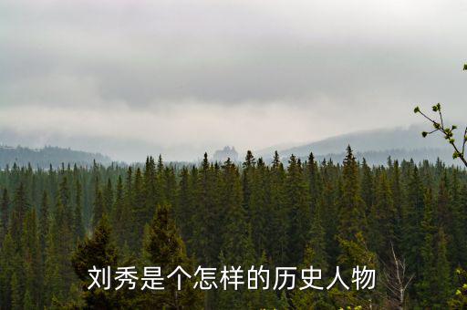 劉秀簡介歷史,劉秀資料:東漢一朝風化最美、儒學最盛