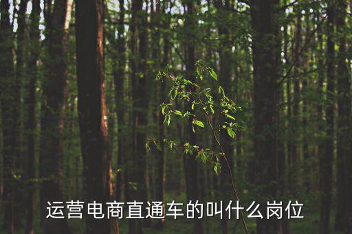 電商運營專員,學電商運營以后可干什么?