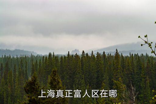 上海房價最高的是哪個地段，上海房價漲幅最大的什么區域
