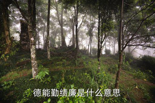 德能勤績廉是什么意思