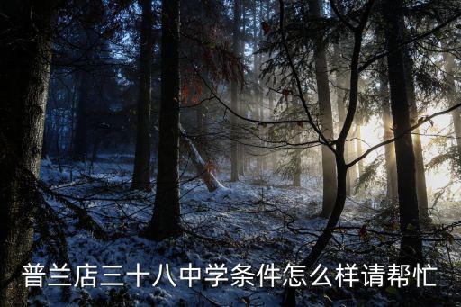普蘭店三十八中學條件怎么樣請幫忙
