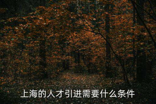 上海的人才引進(jìn)需要什么條件