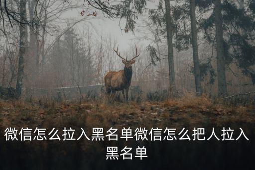 微信怎么拉入黑名單微信怎么把人拉入黑名單