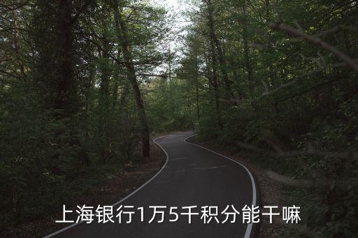 上海銀行1萬5千積分能干嘛