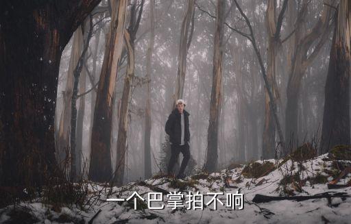 一個巴掌拍不響,一個巴掌拍不響指對事情一定是兩人一起的責任