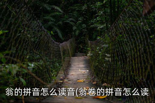 翁的拼音怎么讀音(翁卷的拼音怎么讀
