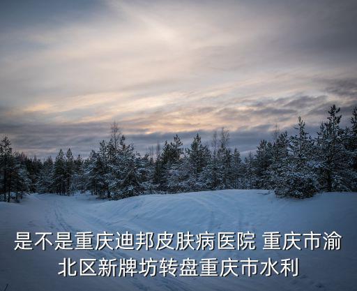 是不是重慶迪邦皮膚病醫院 重慶市渝北區新牌坊轉盤重慶市水利