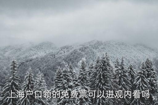 上海戶口領的免費票可以進觀內看嗎