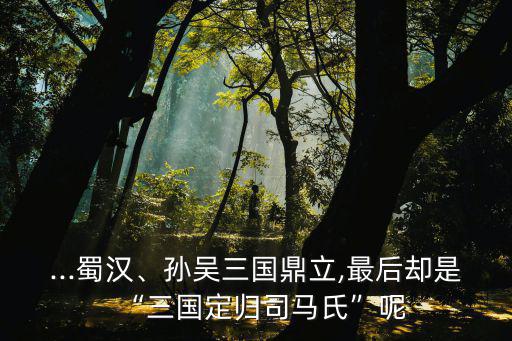 三國(guó)盡歸司馬懿,三國(guó)定歸司馬氏為何這么說(shuō)?