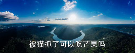 貓咪可以吃芒果嗎,貓咪能吃芒果酸奶嗎?要注意不要太多
