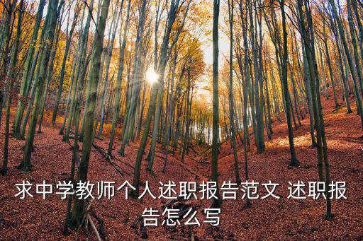 求中學教師個人述職報告范文 述職報告怎么寫