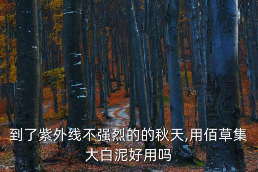 佰草集新七白面膜,為什么我用佰草集新七白面膜?