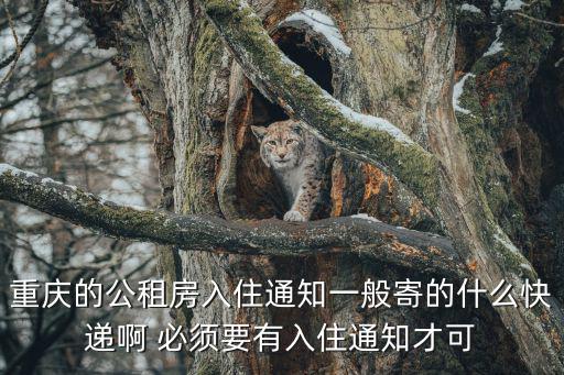 重慶的公租房入住通知一般寄的什么快遞啊 必須要有入住通知才可