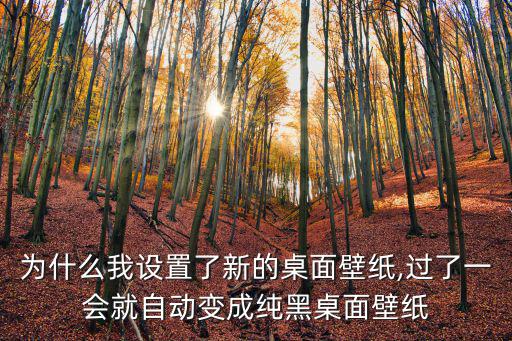 為什么我設置了新的桌面壁紙,過了一會就自動變成純黑桌面壁紙