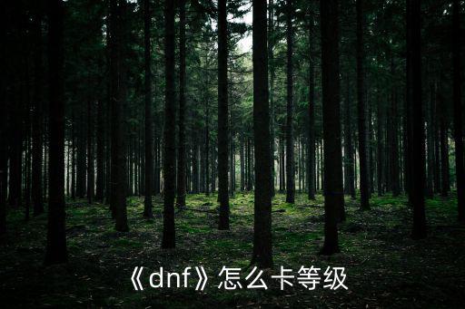 dnf卡,游戲流暢性最重要因素是主頻和內存
