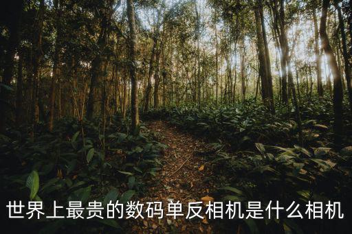 世界上最貴的數(shù)碼單反相機(jī)是什么相機(jī)