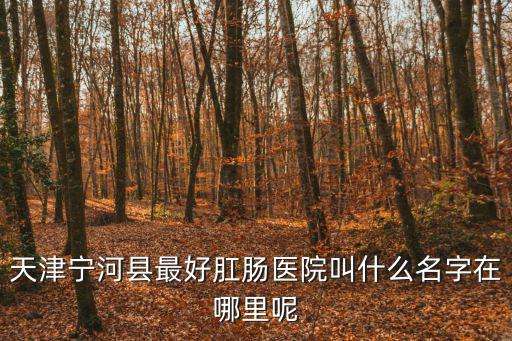 天津寧河縣最好肛腸醫院叫什么名字在哪里呢